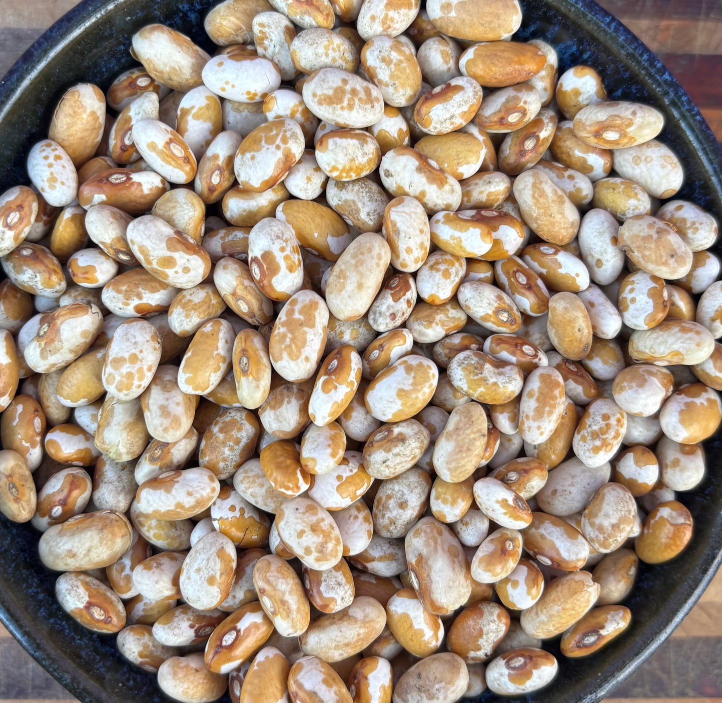 Southwest Gold Beans
