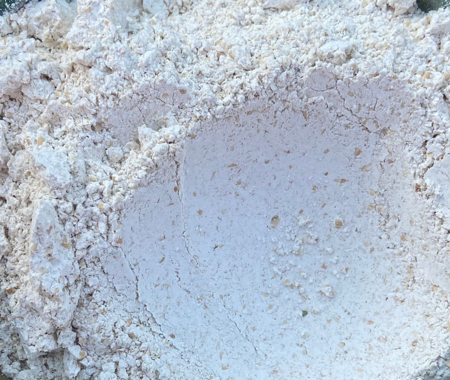 Harrus Soft White Winter Wheat