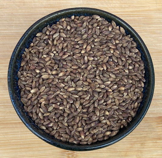 Purple Hulless Barley