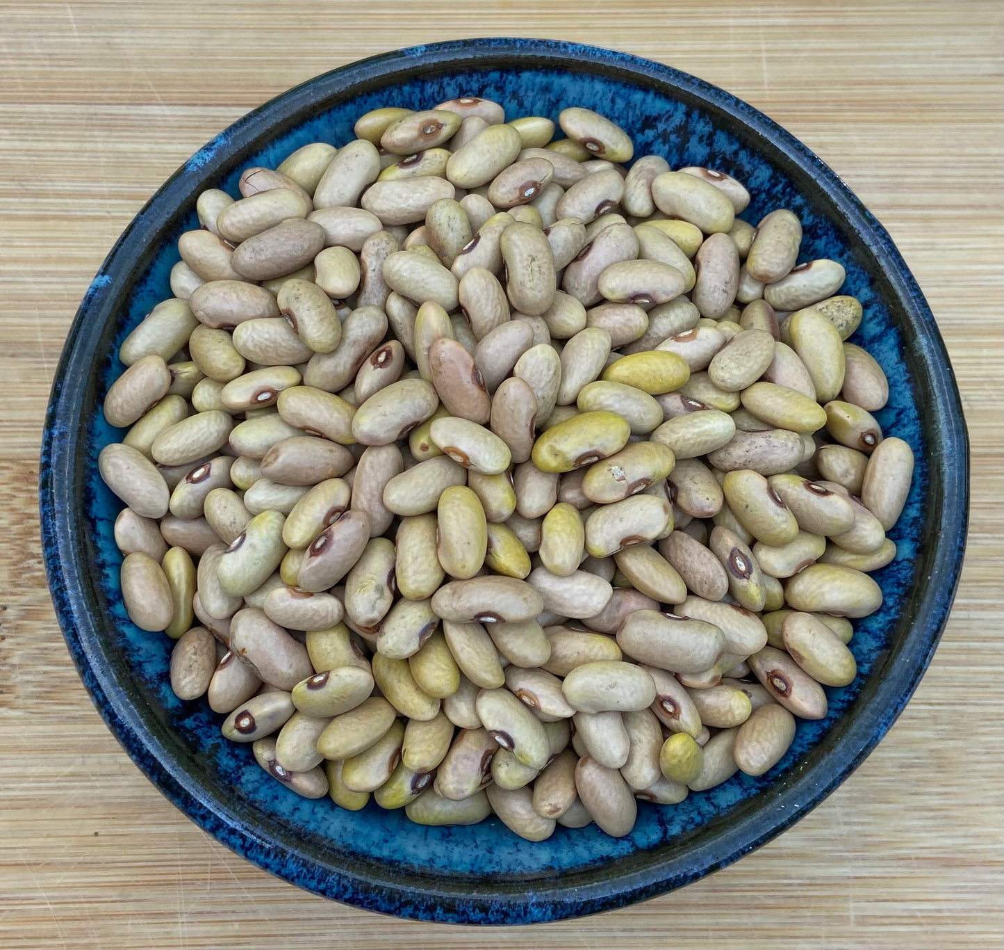 Arikara Beans