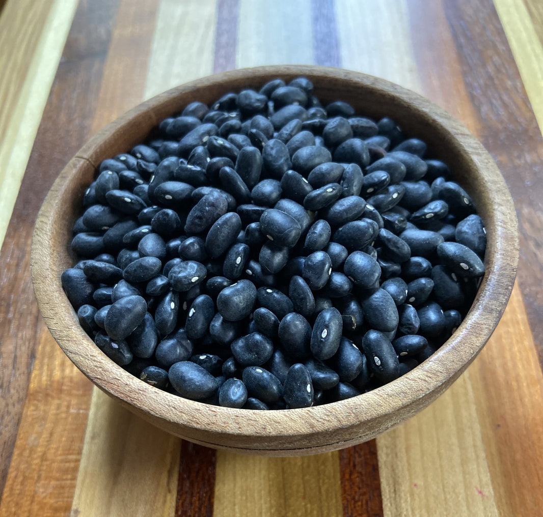Heirloom Beans – Purple Mountain Grown