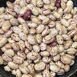 Borlotto del Valdarno Beans