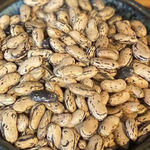 Brighstone Beans