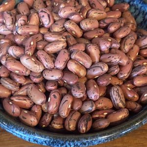 Rosso de Lucca Beans